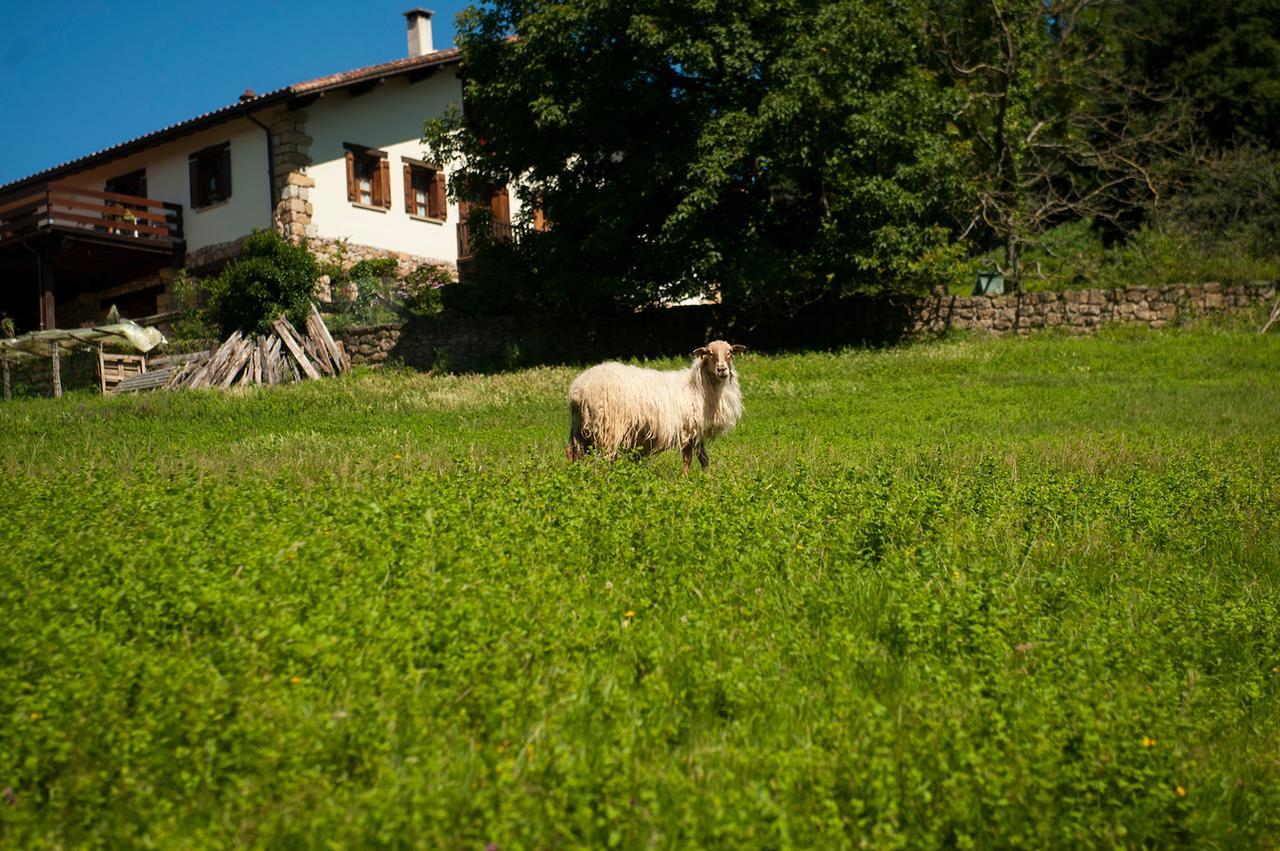 Gasthaus Casa Peluaga Oiartzun Exterior foto